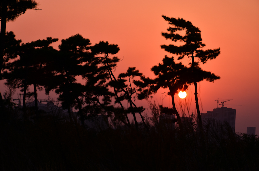 DSC_0901.jpg
