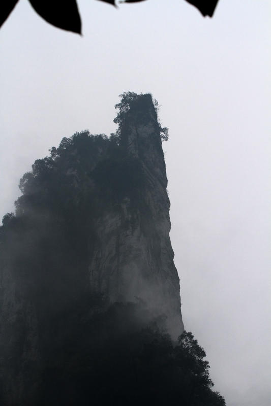 湖南长沙行 945.jpg