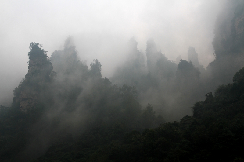 湖南长沙行 910.jpg