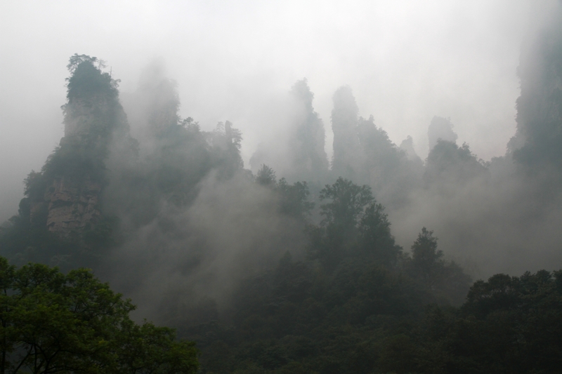 湖南长沙行 917.jpg