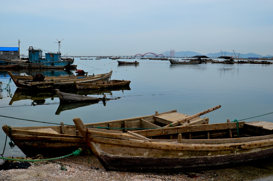 DSC_0338.jpg