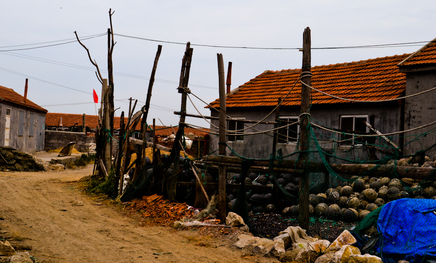 DSC_0356.jpg