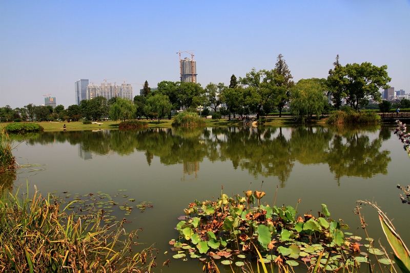 湖南长沙行 313.jpg