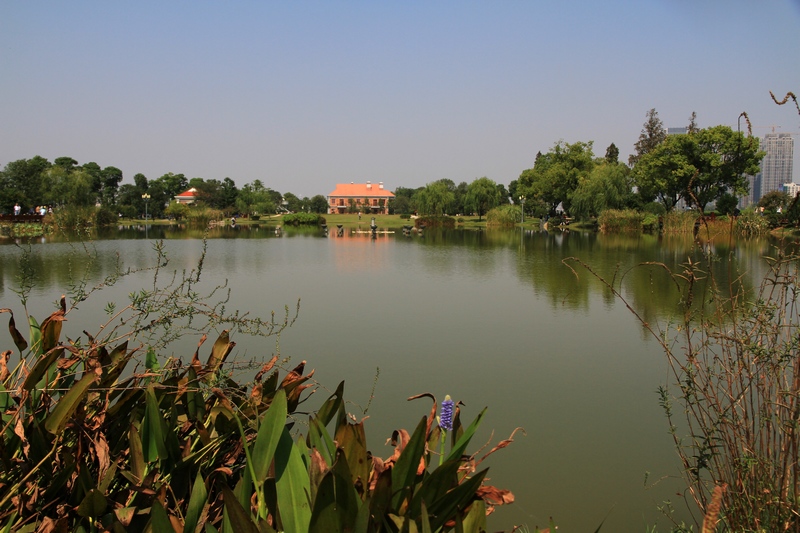 湖南长沙行 317.jpg