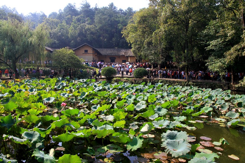 湖南长沙行 587.jpg