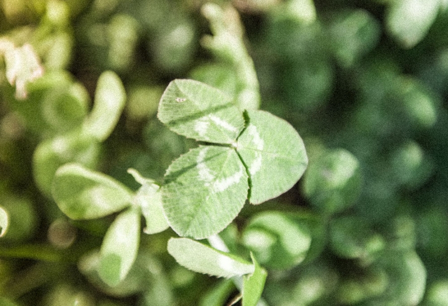 DSC_5093.jpg