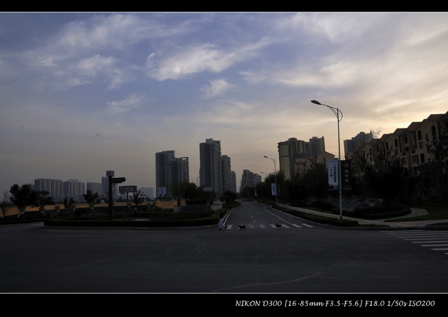 _DSC6559.JPG