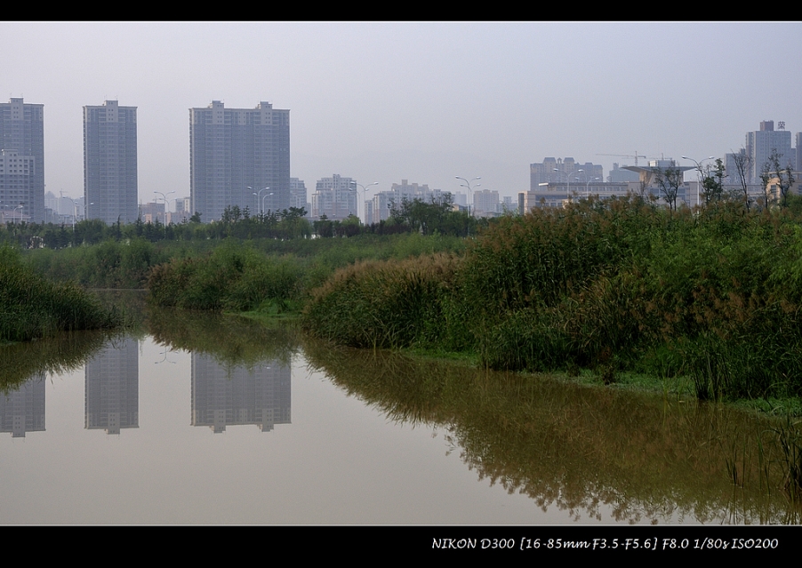 _DSC6565.JPG