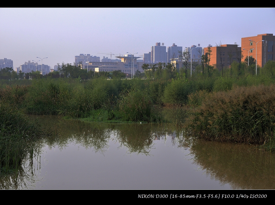 _DSC6573.JPG