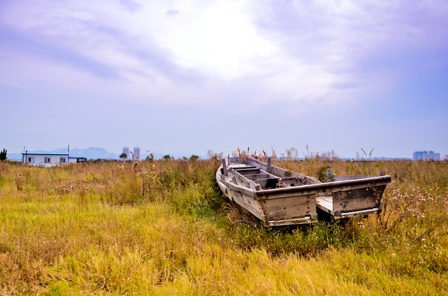 DSC_0494.jpg