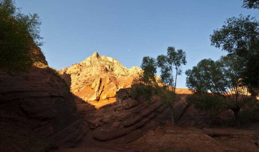 DSC_2924.JPG