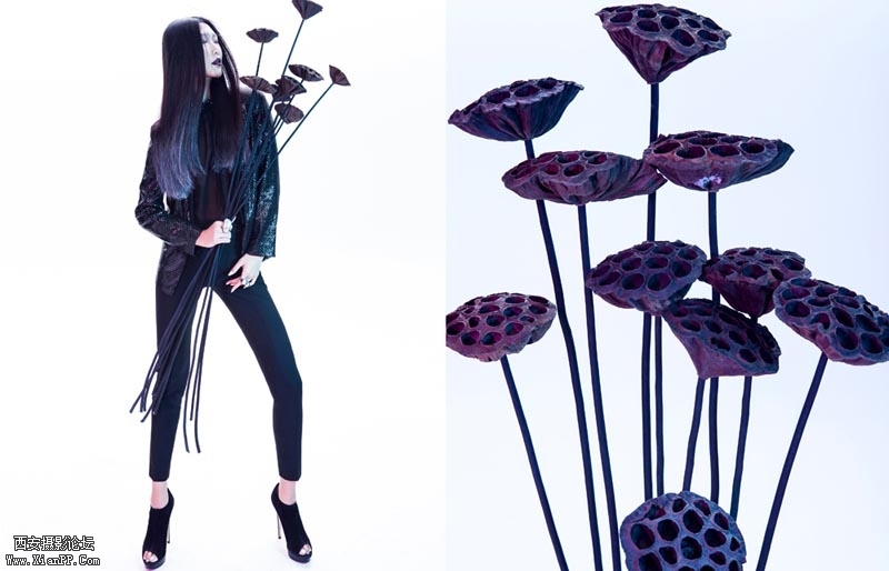 flowers2.jpg