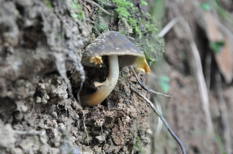 DSC_2078.JPG