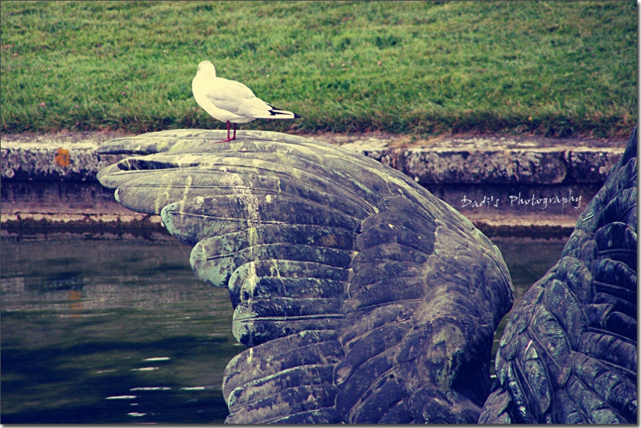 Paris 4 126_副本.jpg