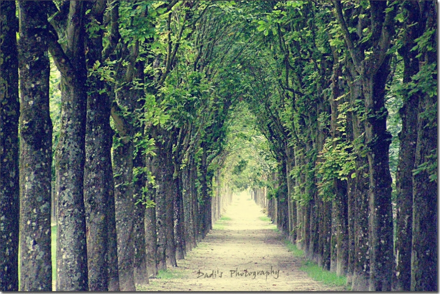 Paris 4 178_副本.jpg