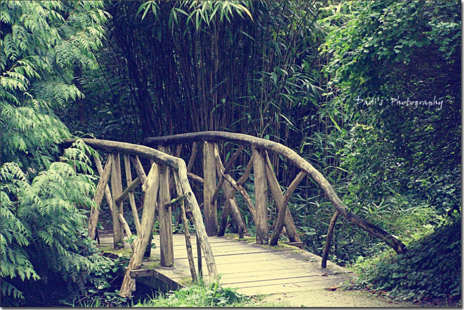 Paris 4 310_副本.jpg