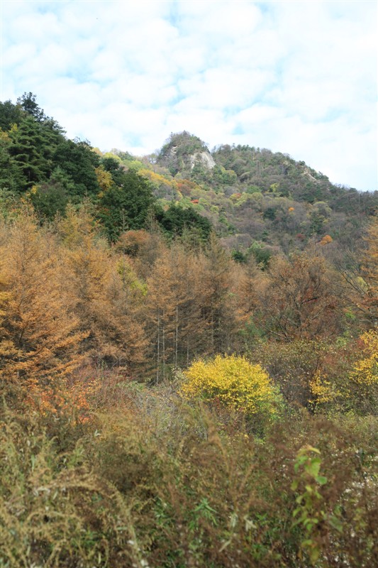 照片 043.jpg