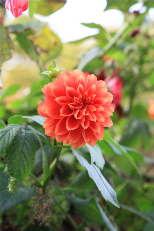 照片 064.jpg