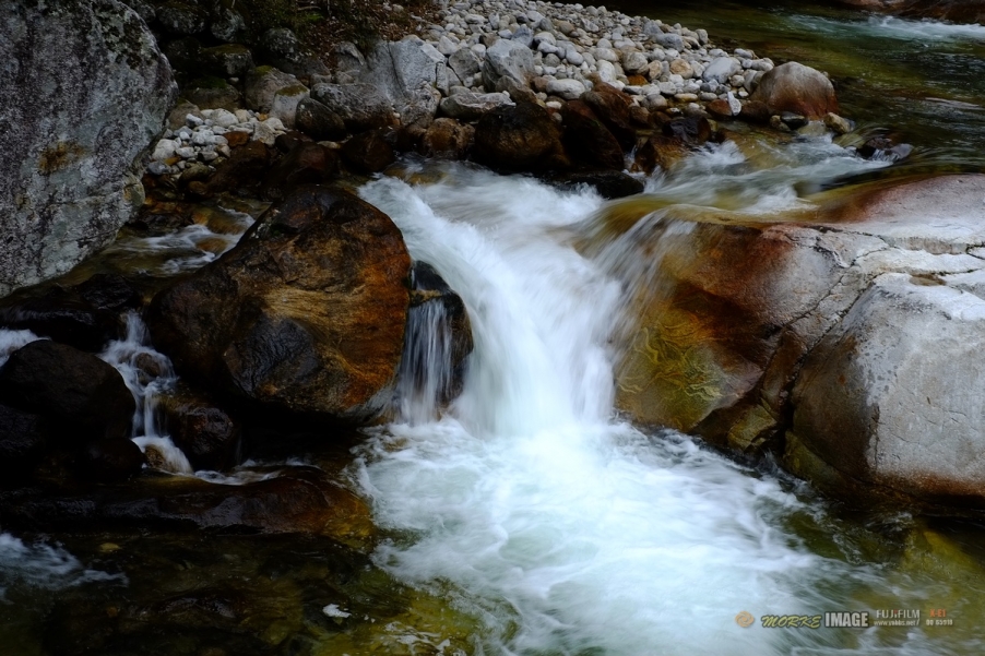 DSCF1774a.jpg