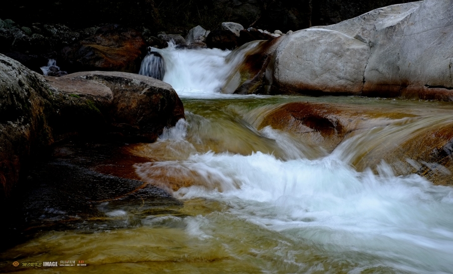 DSCF1777a.jpg