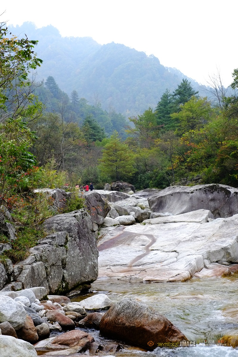 DSCF1800a.jpg