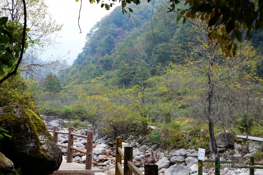 DSCF1820a.jpg