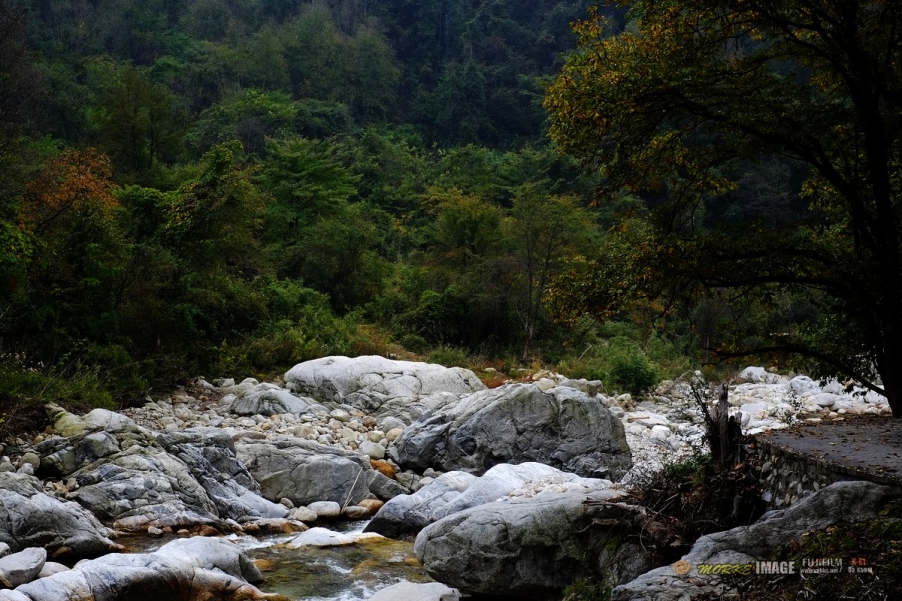 DSCF1871a.jpg