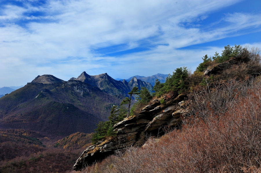 DSC_5427.jpg