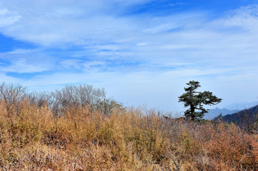 DSC_5516.jpg
