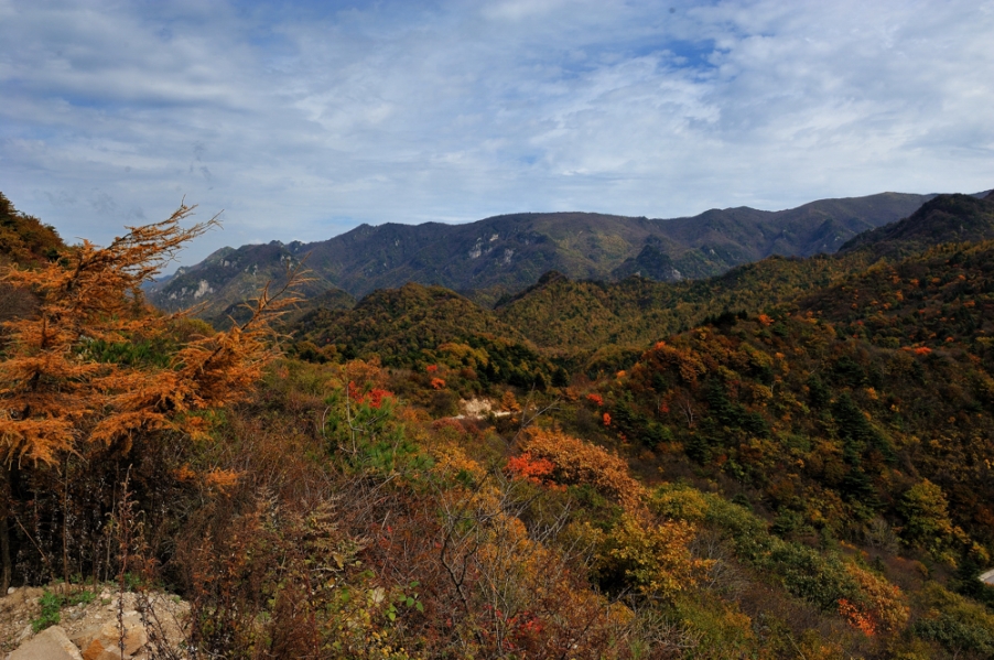 DSC_5609.jpg