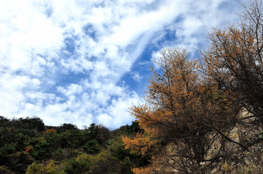 DSC_5616.jpg
