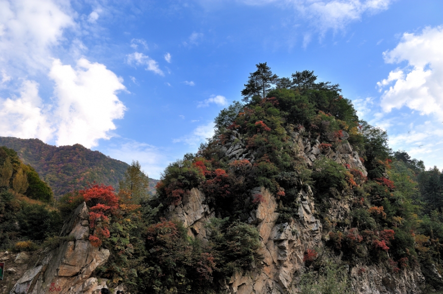 DSC_5672.jpg
