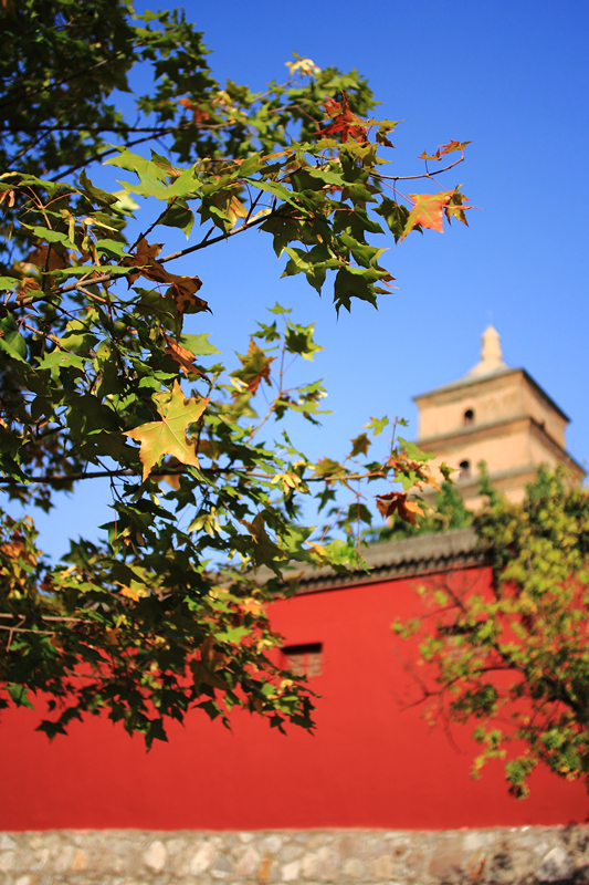 IMG_6210_副本.jpg