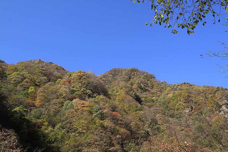秦岭 011_副本.jpg