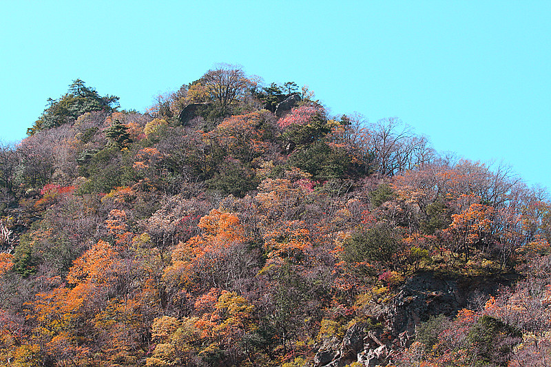 秦岭 079_副本.jpg