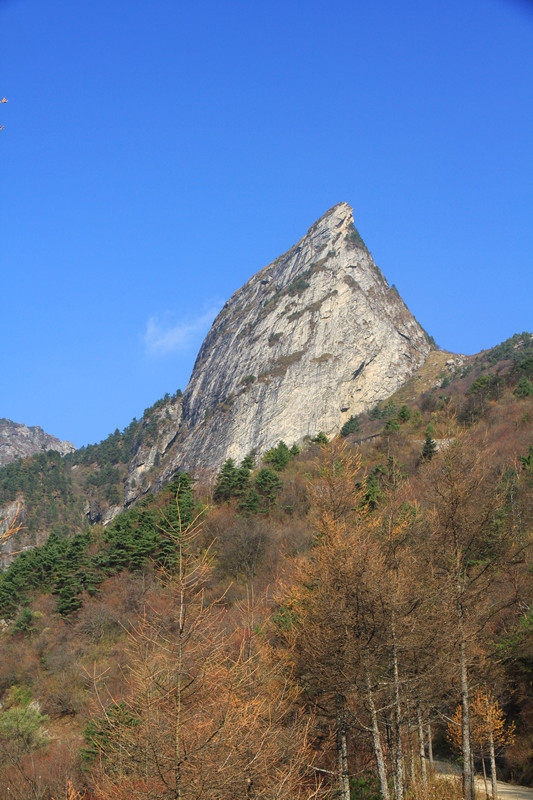 秦岭 142_副本.jpg
