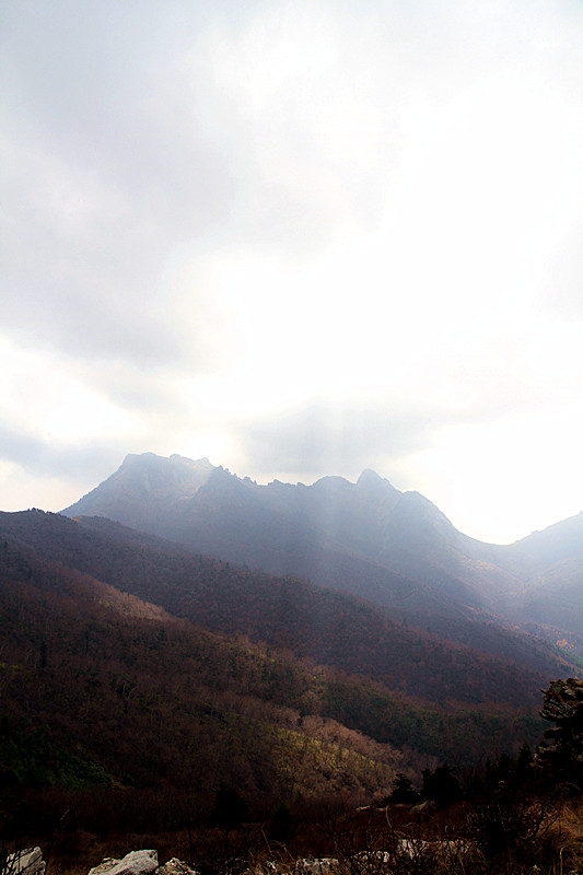 秦岭 250_副本.jpg