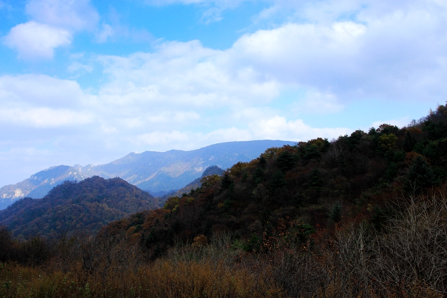 丰峪 082.jpg