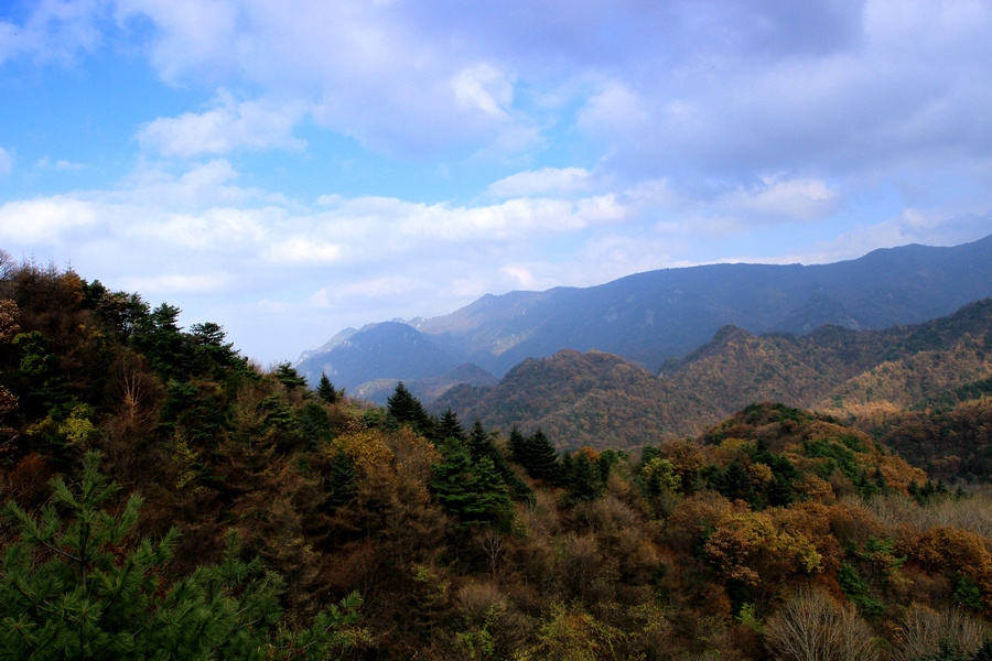 丰峪 095.jpg