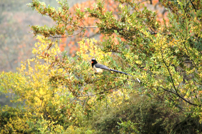 照片 134_副本.jpg