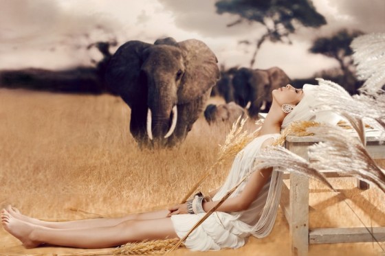 zhb01-560x373.jpg zhb01-560x373.jpg