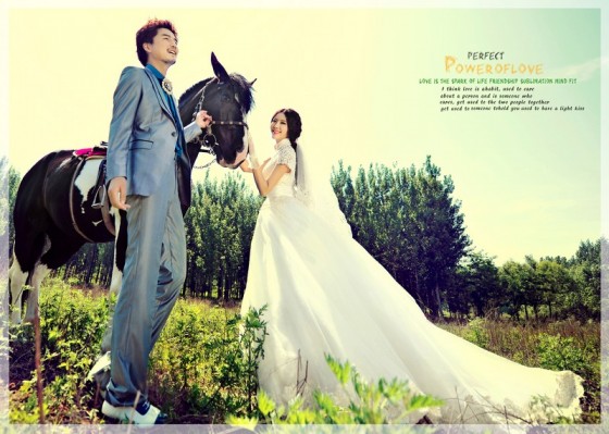 alcz02-560x399.jpg alcz02-560x399.jpg