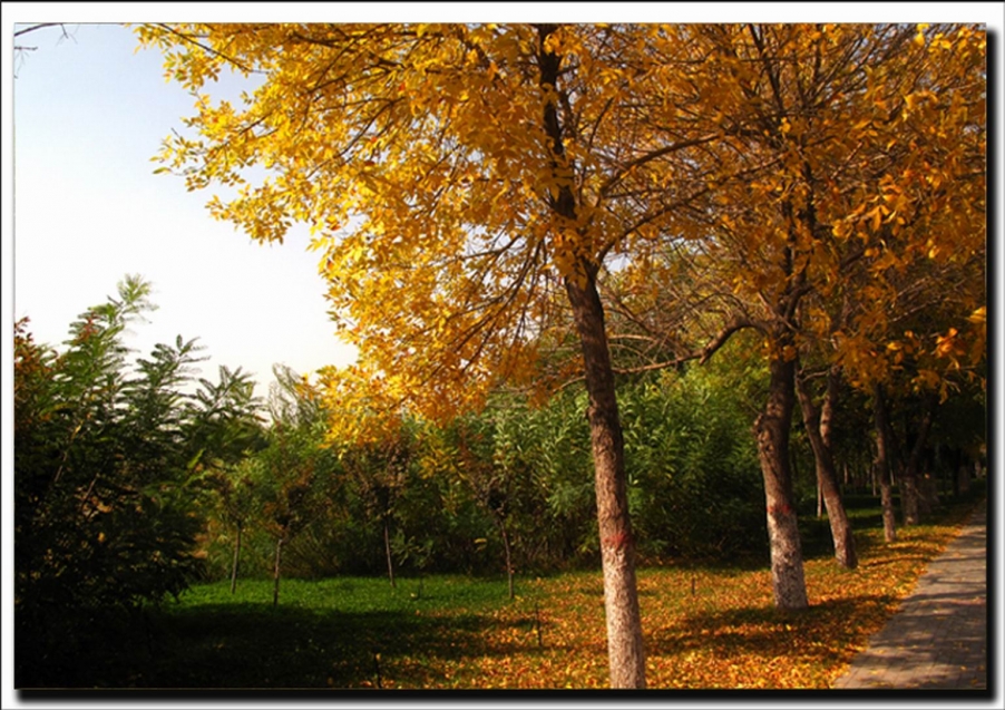 调整大小 100.jpg