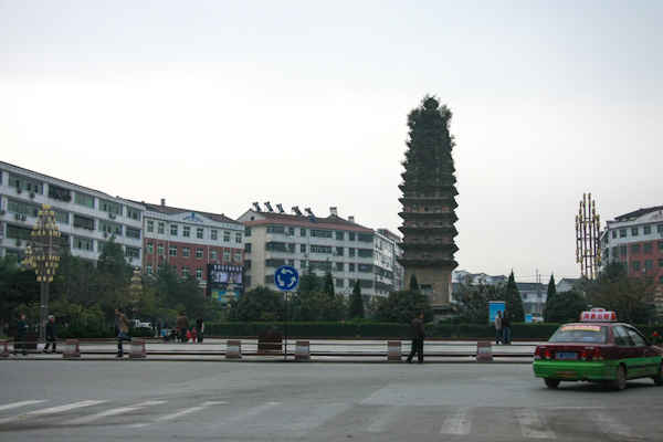 IMG_2737.jpg