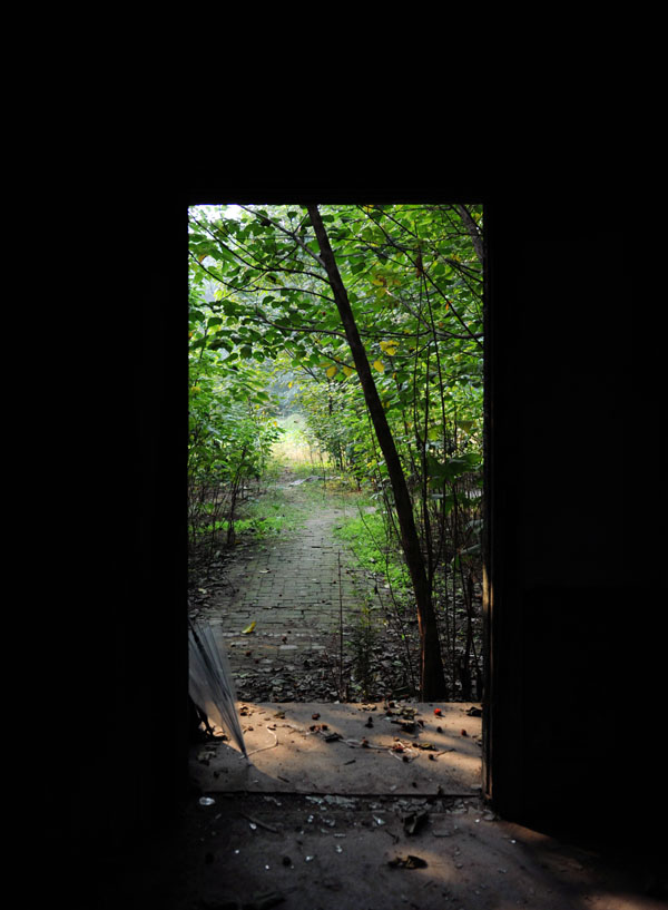 DSC_9630a.jpg