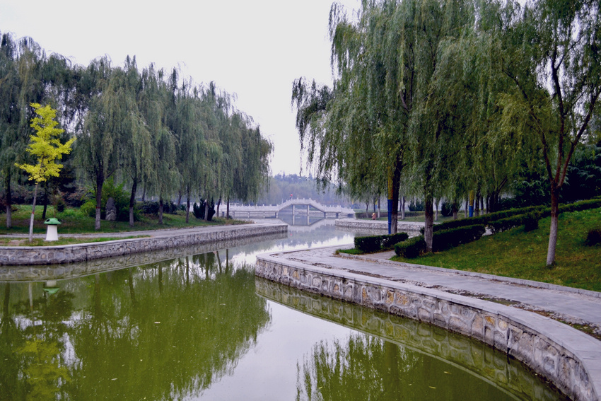 DSC_0011.JPG