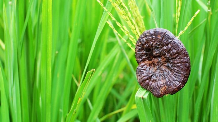 满意照片 (123).jpg