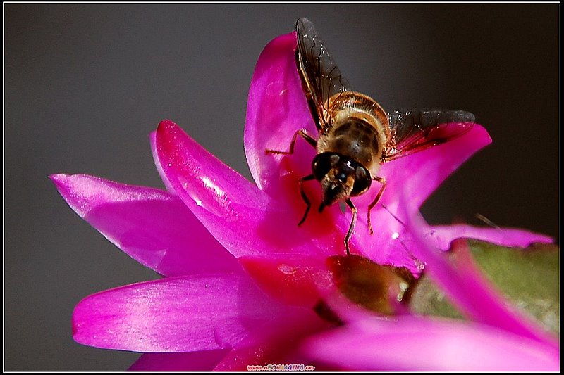 复件 DSC_0524 (2).JPG