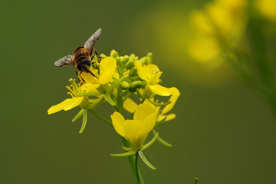 复件 DSC_1664 (2).jpg