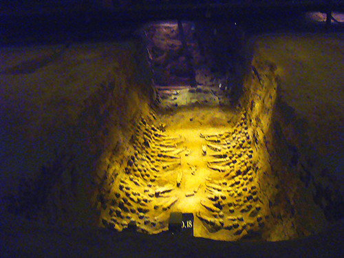 DSC08812_副本.jpg